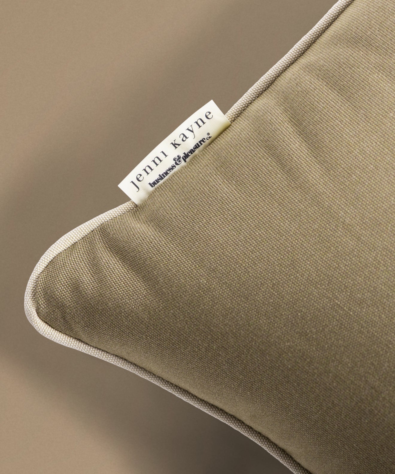 The Euro Throw Pillow